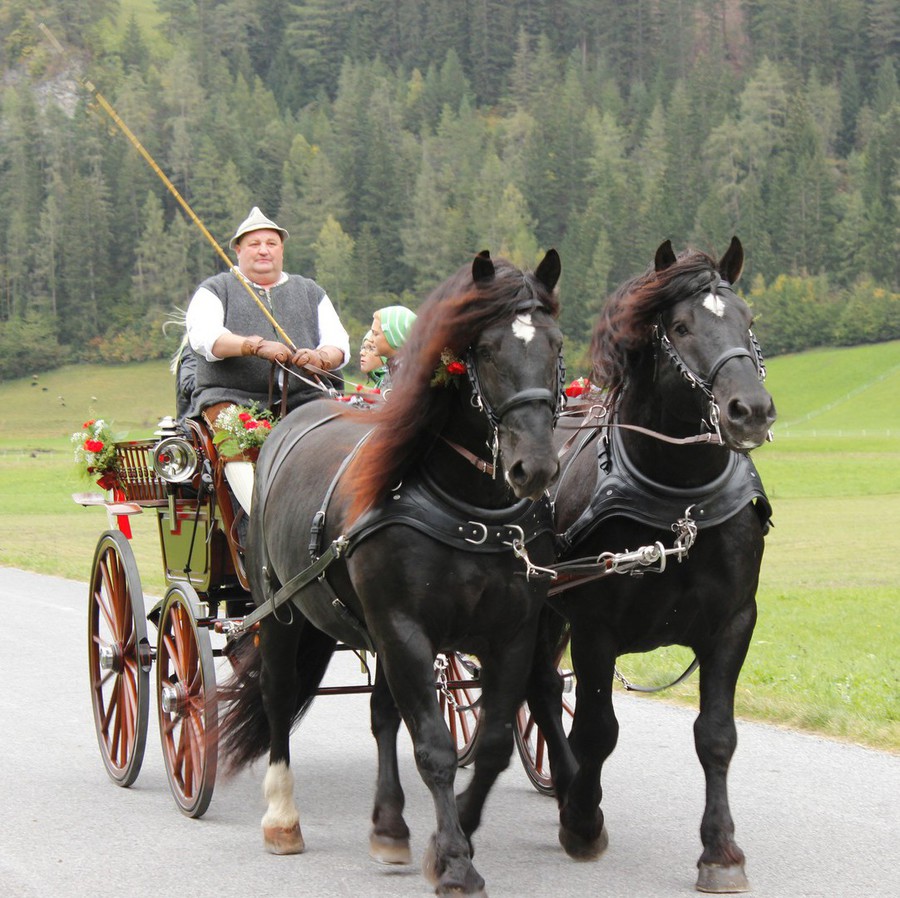 Hauser Ranch - Hauser Ranch