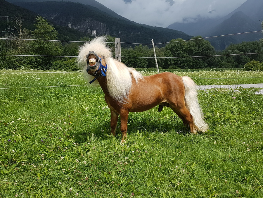Hauser Ranch - Hauser Ranch