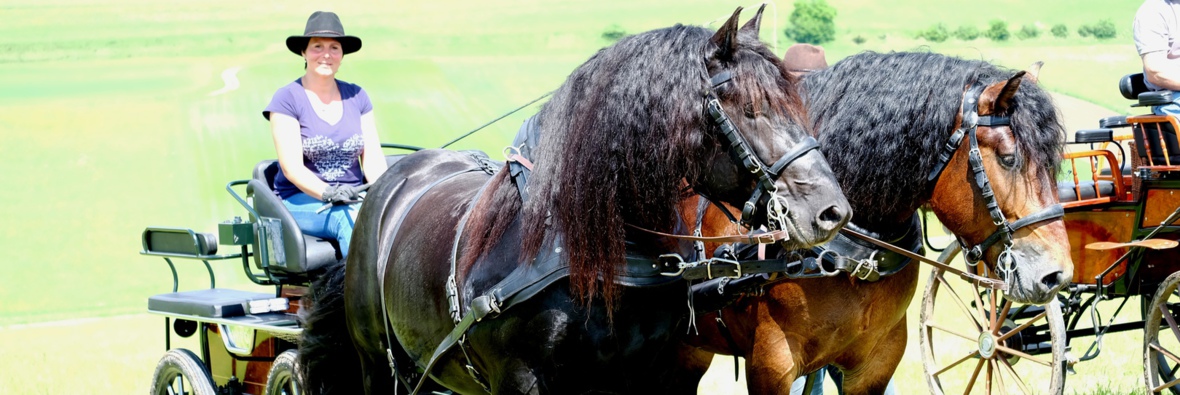 Hauser Ranch - Über mich